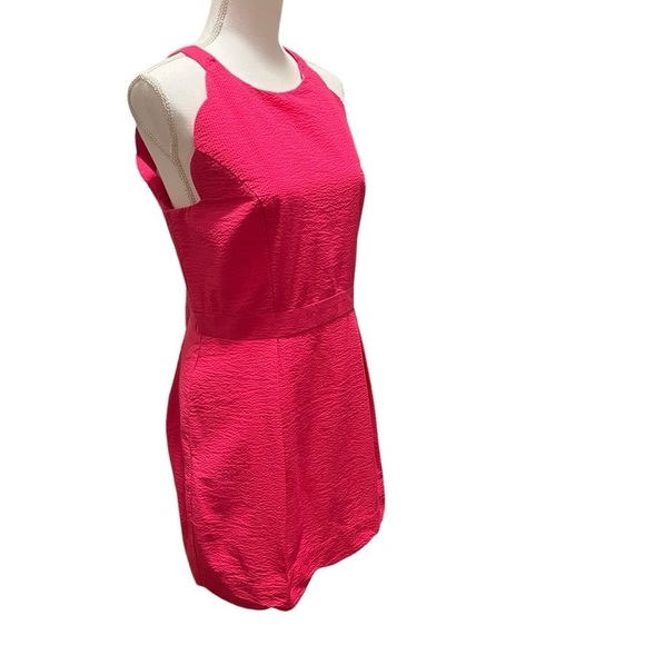 Lauren James Pink Sleeveless Halter Mini Dress with Scalloped Edges, Size XL - Picture 5 of 16